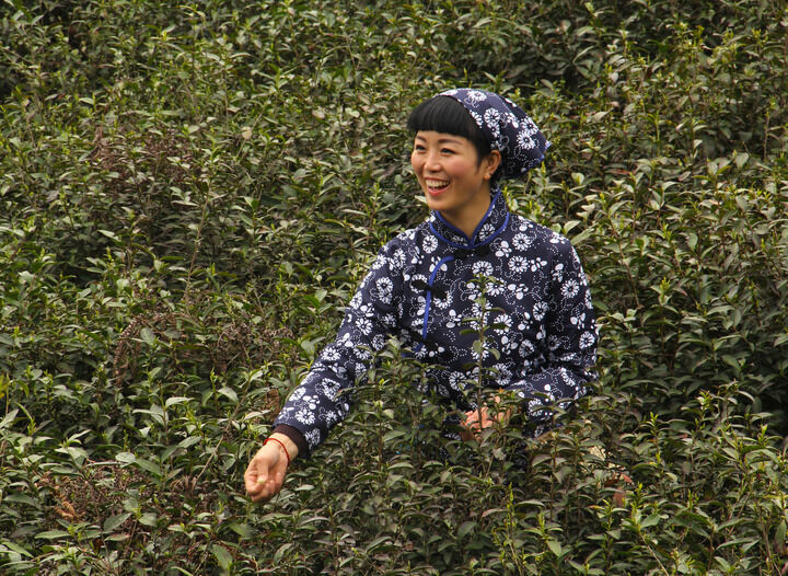 小仙女破解版直播 热门4
